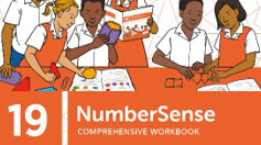 NumberSense Comprehensive Workbook 19