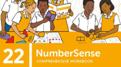 NumberSense Comprehensive Workbook 22